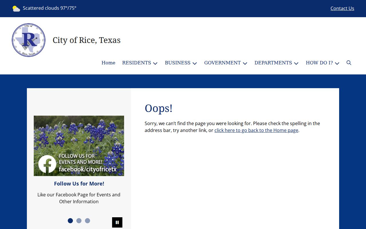 Rice criminal records contact and Police Department building page